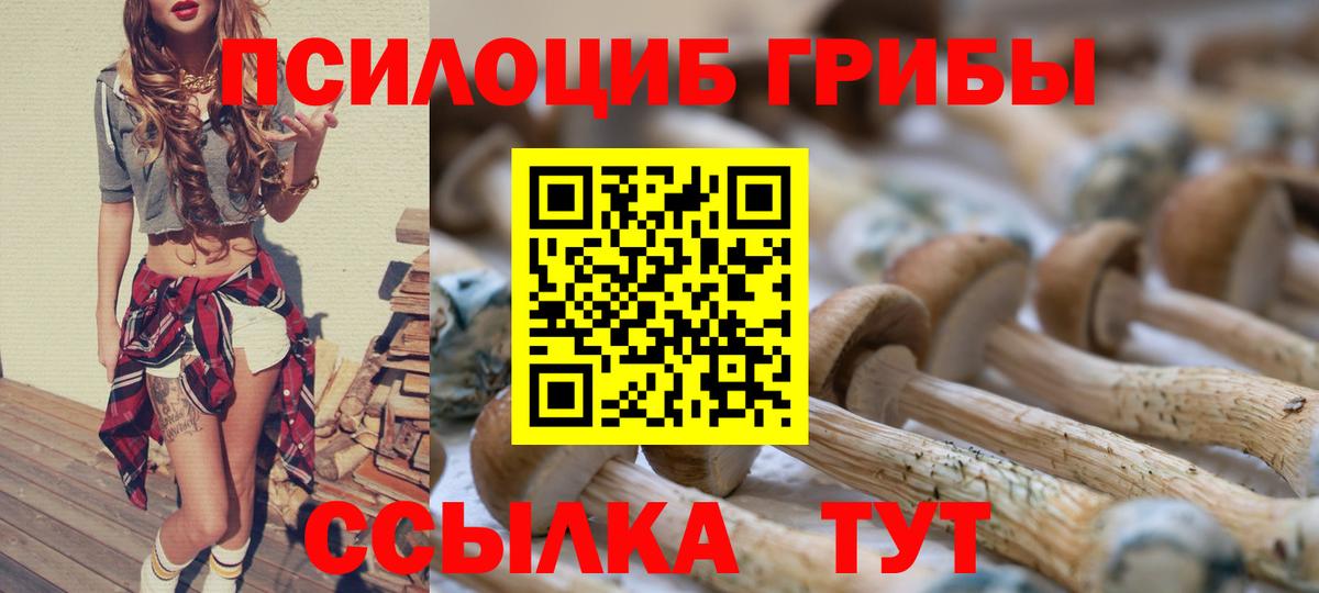 Галлюциногенные грибы ЛСД  где продают наркотики  Рассказово  Вход с VPN 