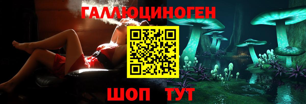 Псилоцибиновые грибы Psilocybine cubensis Рассказово