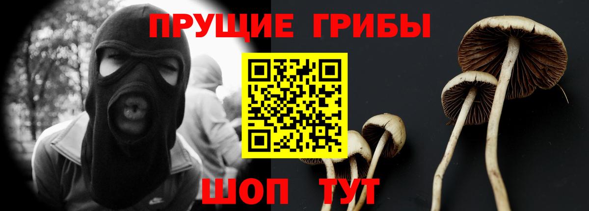 Псилоцибиновые грибы Psilocybine cubensis  цены   Рассказово 